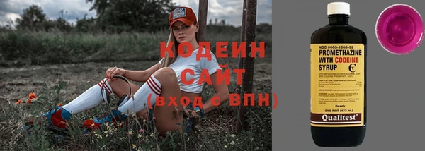 скорость Вяземский