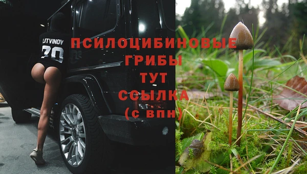 Альфа ПВП Володарск