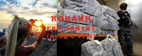 молекула духа Вязьма