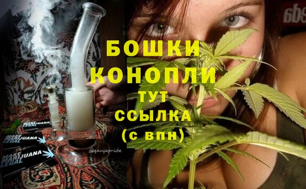 скорость Вяземский