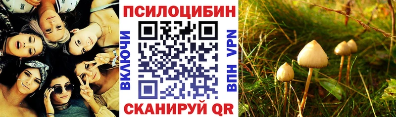 Галлюциногенные грибы MAGIC MUSHROOMS Чердынь